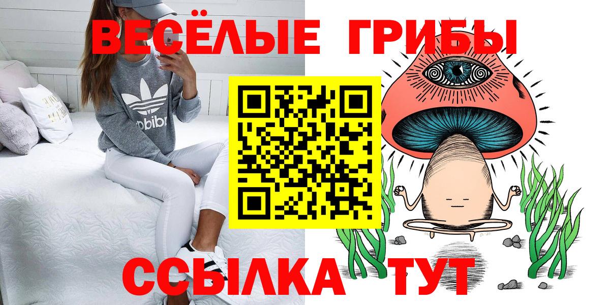 Псилоцибиновые грибы MAGIC MUSHROOMS Пенза