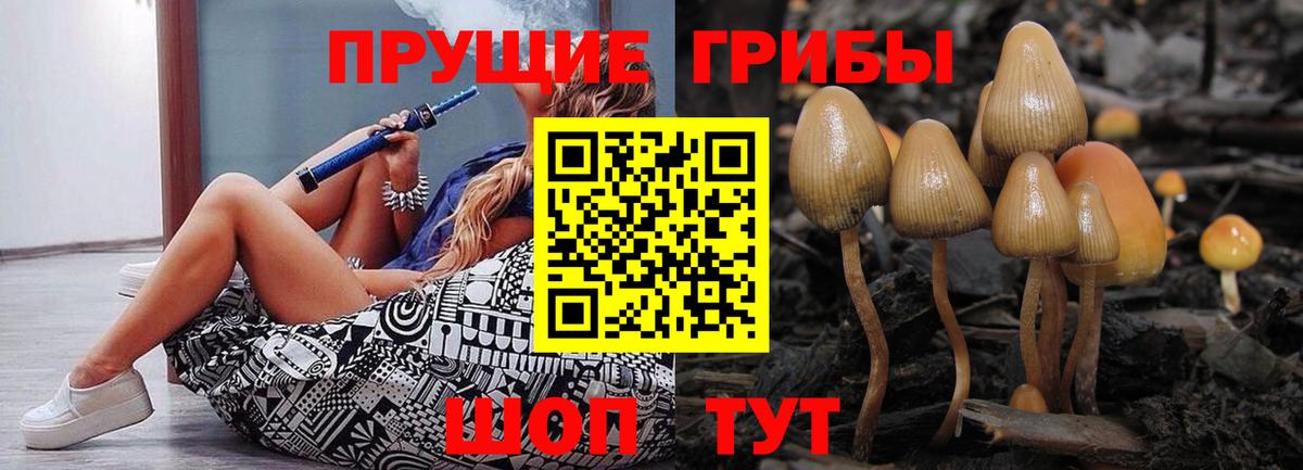 Галлюциногенные грибы мухоморы  Псилоцибиновые грибы Psilocybe  Вход с VPN  как найти   Пенза 